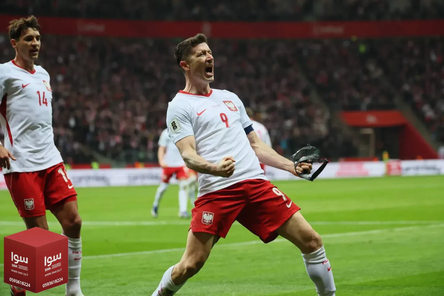 بولندا تقلب الطاولة على ألبانيا وتضرب موعدًا مع السويد وكوسوفو تواجه تركيا في ملحق المونديال